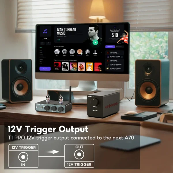AIYIMA T1 PRO Vacuum Tube Preamplifier Amplifiers Home Audio RCA Bluetooth Input Bass Treble Control HiFi Stereo AUX 12V Trigger - Image 4